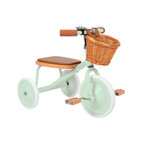 BANWOOD TRIKE MINT - Hello Little Birdie