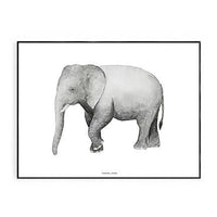 Elephant Print 40 x 50cm - Hello Little Birdie