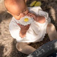 Oli & Carol Teether, Margarita the Daisy - Hello Little Birdie