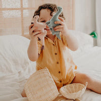 Olli Ella Holdie Dinosaurs - Hello Little Birdie