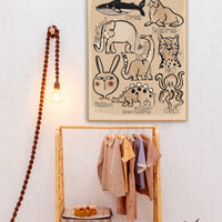 Studio Loco Wall Poster, Animal Collection 50 x 70cm - Hello Little Birdie