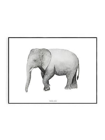 Elephant Print 40 x 50cm - Hello Little Birdie