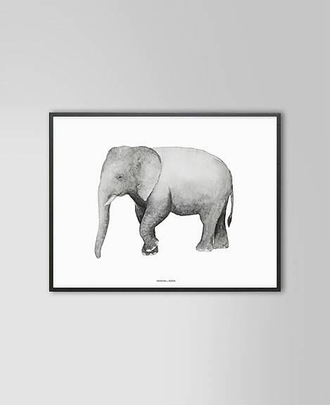 Elephant Print 40 x 50cm - Hello Little Birdie