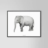 Elephant Print 40 x 50cm - Hello Little Birdie