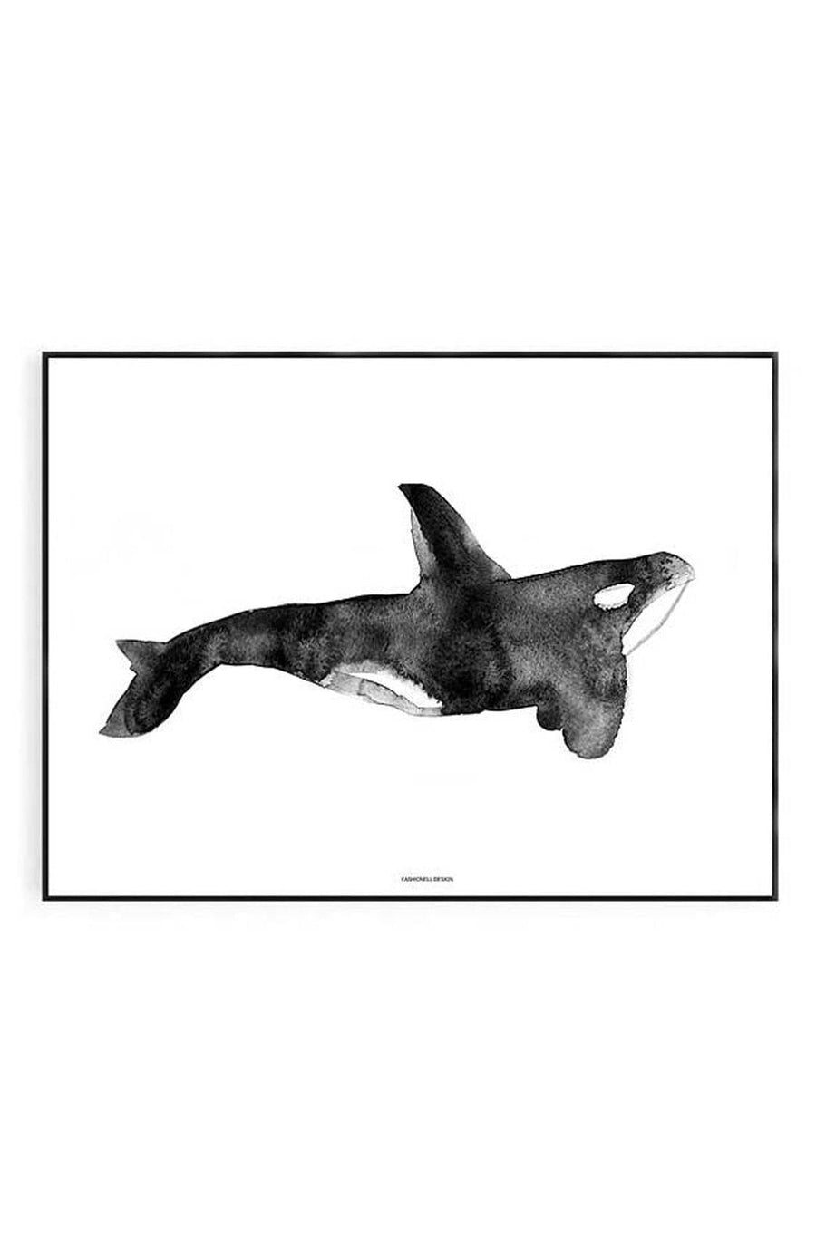 Killer Whale Print 40 x 50cm - Hello Little Birdie
