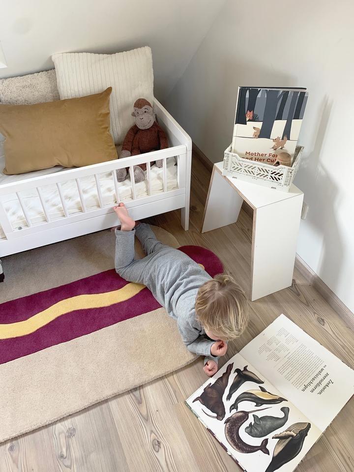 Maison Deux, Hot Dog Rug - Hello Little Birdie
