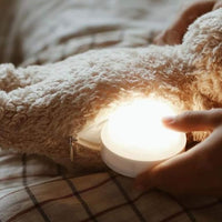 Moonie Organinc Humming Bear Sleep Aid with Lamp, Polar - Hello Little Birdie