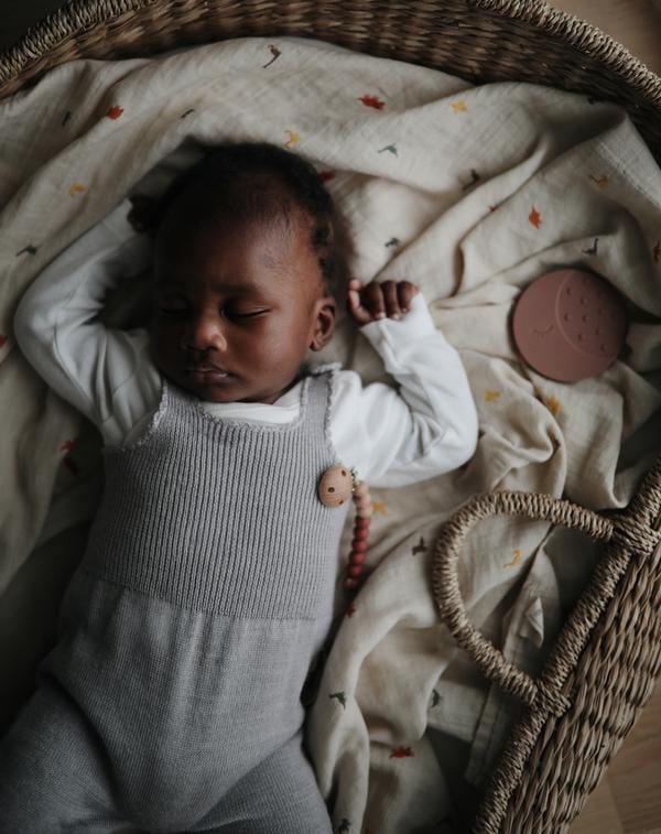 Mushie Muslin Swaddle Blanket Organic Cotton, Dinosaurs (PRE-ORDER FEB) - Hello Little Birdie