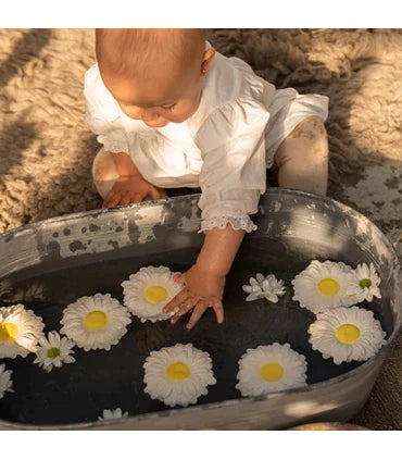 Oli & Carol Teether, Margarita the Daisy - Hello Little Birdie