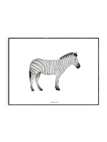 Zebra Print 40 x 50cm - Hello Little Birdie