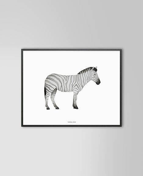 Zebra Print 40 x 50cm - Hello Little Birdie