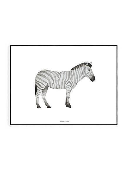 Zebra Print 50 x 70cm - Hello Little Birdie