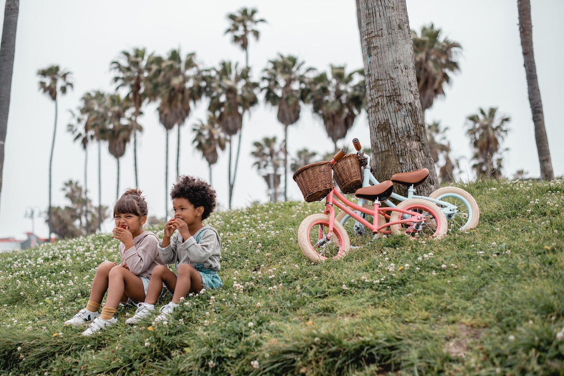 BANWOOD FIRST GO BALANCE BIKE, CORAL - Hello Little Birdie